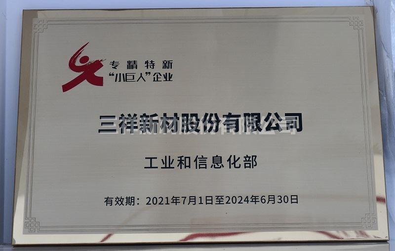 小巨人企業